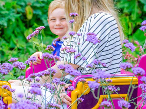 Professor Blast's Expedition Express family ride at Paultons Park