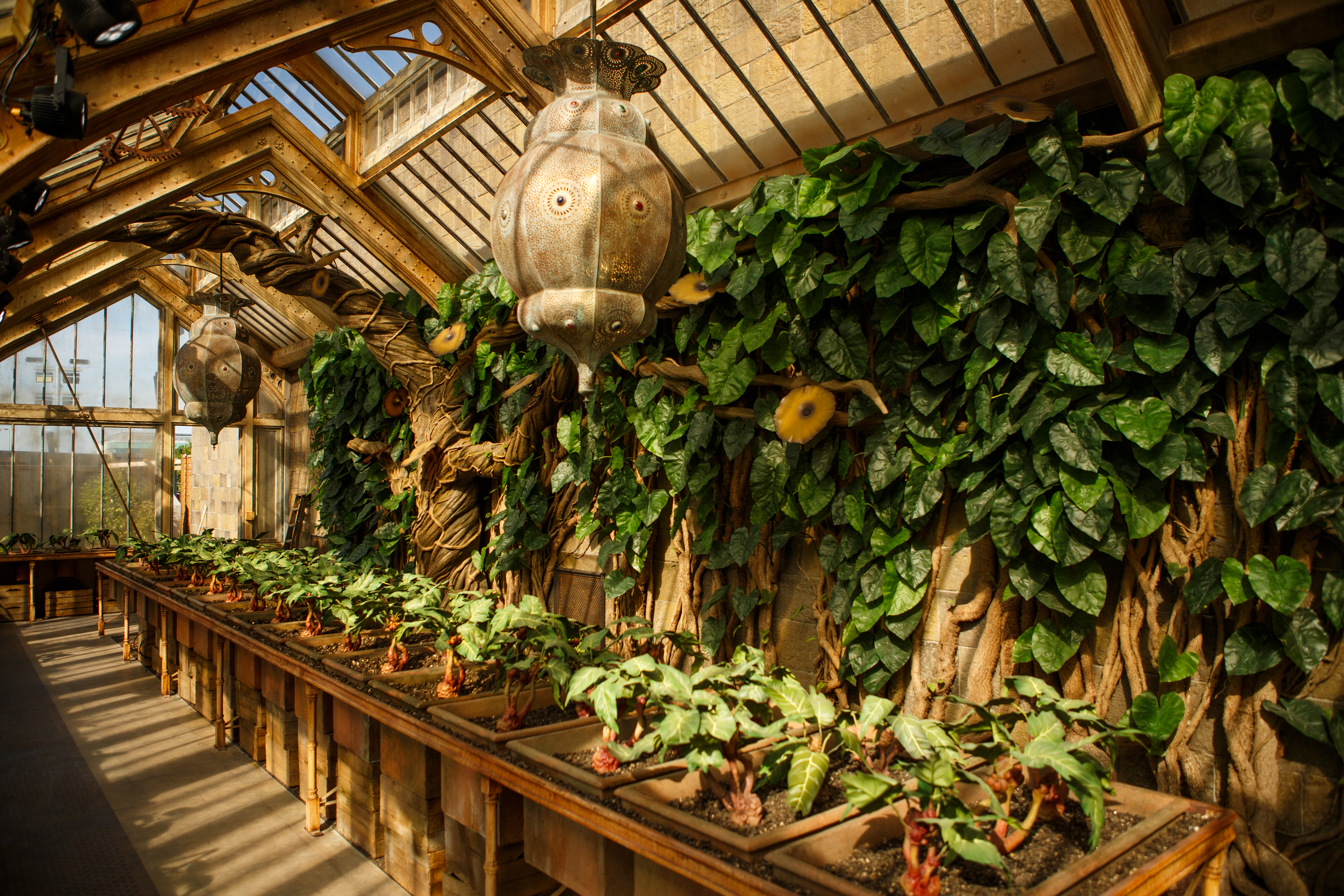 Professor Sprout’s Greenhouse